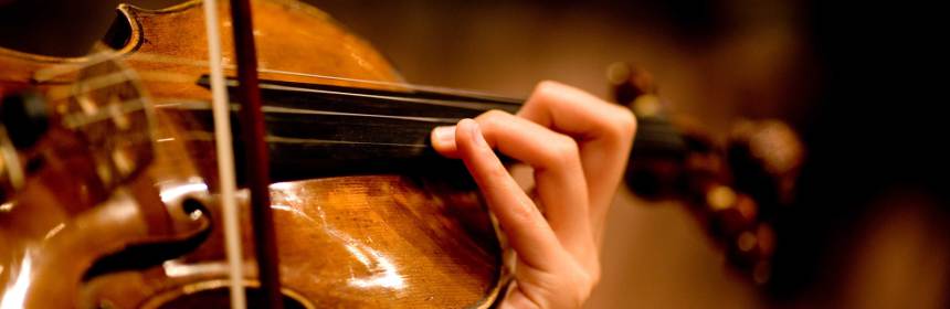 آموزش خصوصی ویولن - تدریس ویولن